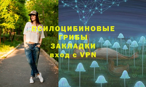 МДПВ Алексеевка