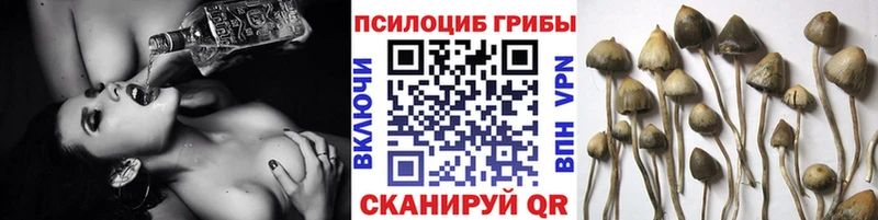 Галлюциногенные грибы прущие грибы  где купить наркоту  Печоры 